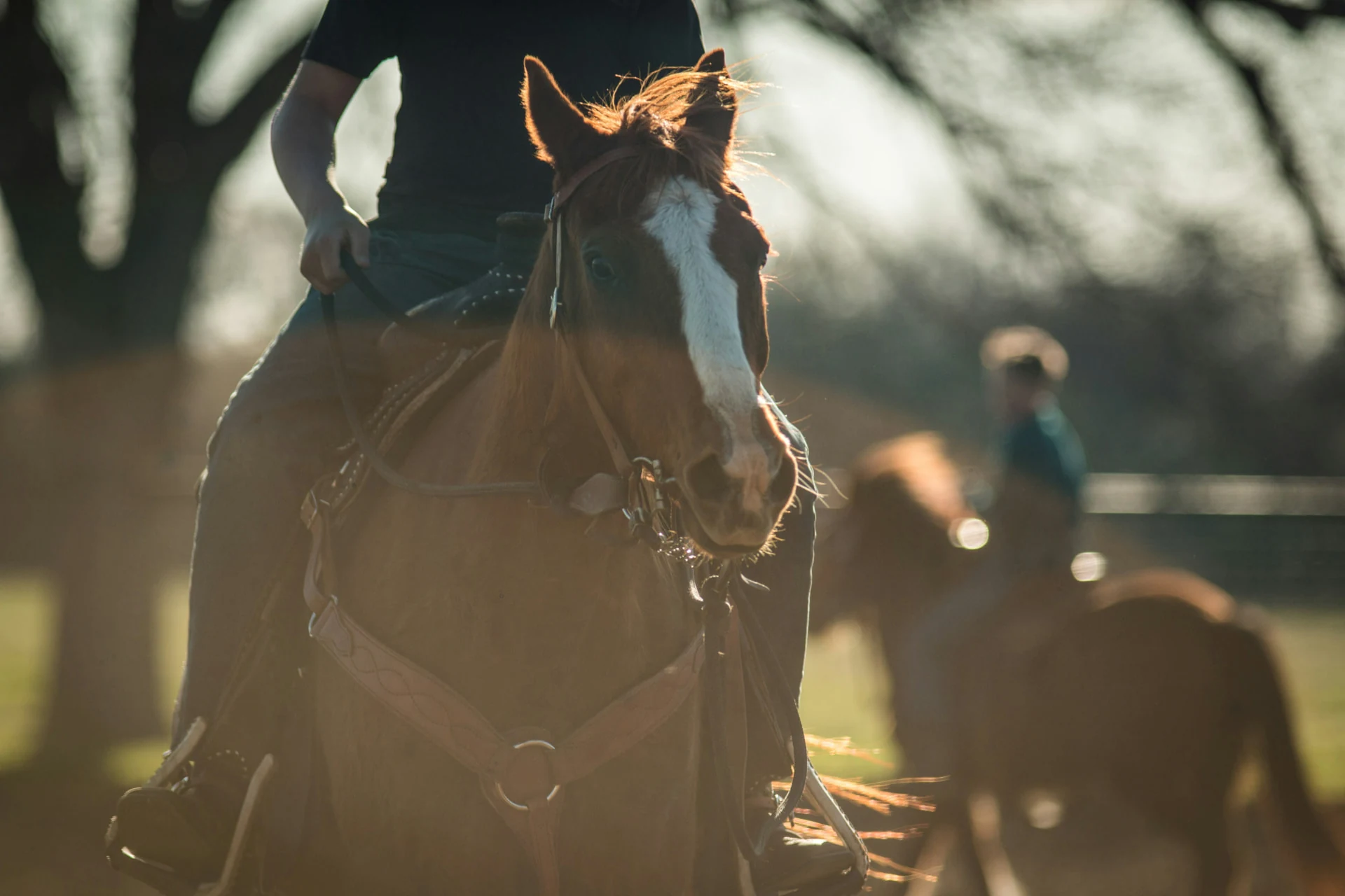 A rider in the ranch rodeo